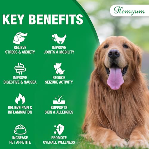 3-Pack Organic Hemp Oil for Pet Anxiety Relief