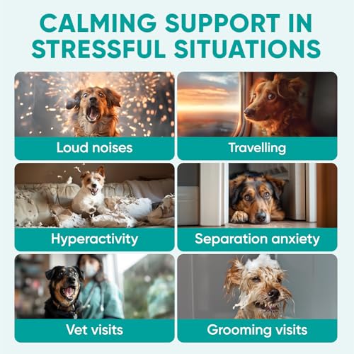 Calming Hemp Chews for Dogs - 120 Treats