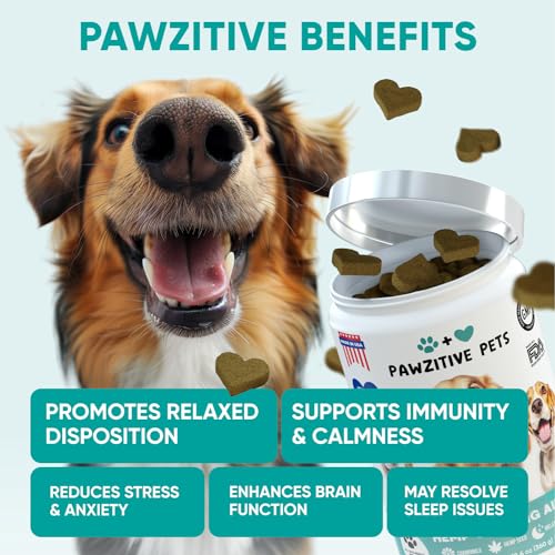 Calming Hemp Chews for Dogs - 120 Treats