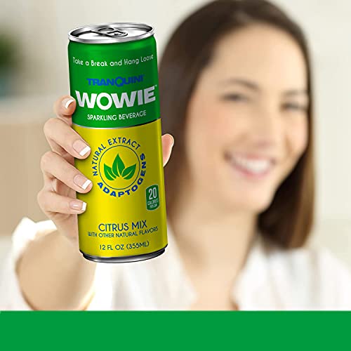 Wowie Hemp Infused Citrus Calming Beverage (4 Pack)