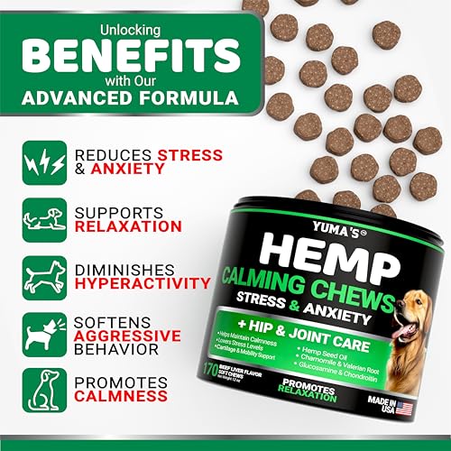 YUMA's Hemp Calming Treats for Dogs - Beef Flavor