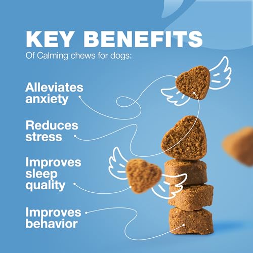Calming Hemp Chews for Anxious Dogs