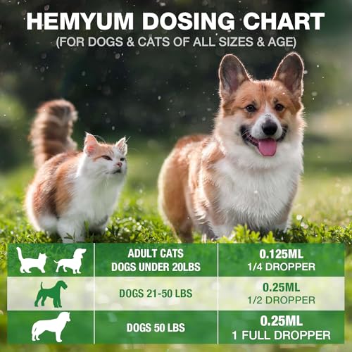 3-Pack Organic Hemp Oil for Pet Anxiety Relief
