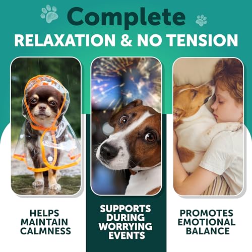 Calming Hemp Chews for Anxious Dogs - 70 Count