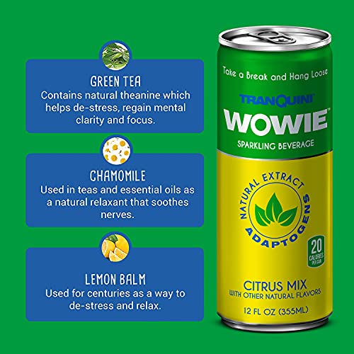 Wowie Hemp Infused Citrus Calming Beverage (4 Pack)