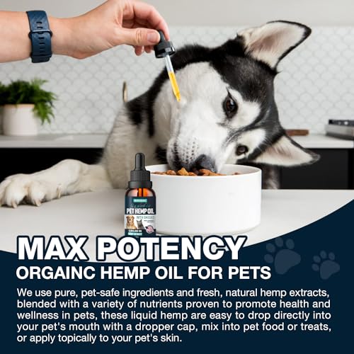 Organic Hemp Oil for Pet Anxiety & Joint Support