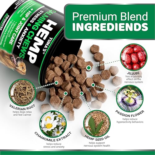 YUMA's Hemp Calming Treats for Dogs - Beef Flavor
