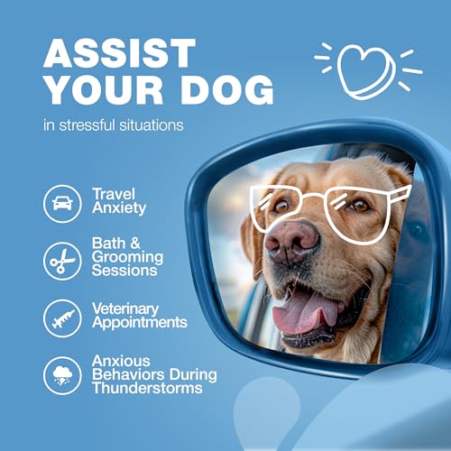 Calming Hemp Chews for Anxious Dogs