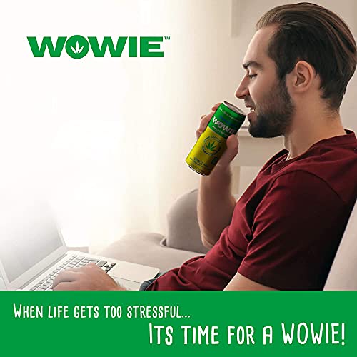 Wowie Hemp Infused Citrus Calming Beverage (4 Pack)