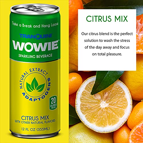 Wowie Hemp Infused Citrus Calming Beverage (4 Pack)