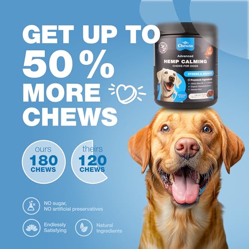 Calming CBD Chews for Dog Anxiety Relief