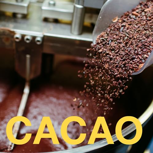 SANE: Functional Chocolate with Adaptogens & Mushrooms