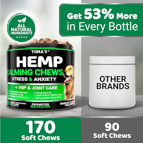 YUMA's Hemp Calming Treats for Dogs - Beef Flavor