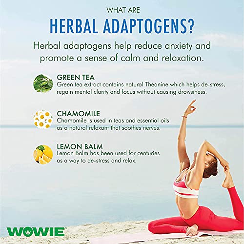 Wowie Hemp Infused Citrus Calming Beverage (4 Pack)