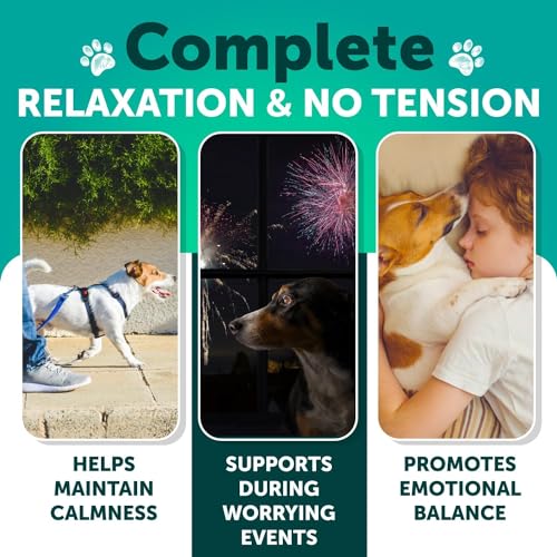 Artullano Hemp Calming Chews for Dogs - Anxiety Relief