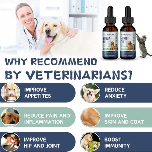 Organic Hemp Oil for Pets: Anxiety & Pain Relief
