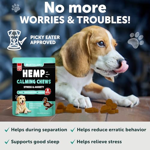 Calming Hemp Chews for Anxious Dogs - 70 Count