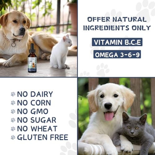 Organic Hemp Oil for Pets: Anxiety & Pain Relief