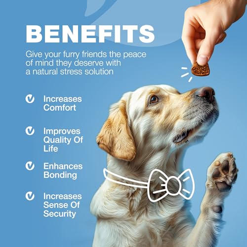 Calming CBD Chews for Dog Anxiety Relief