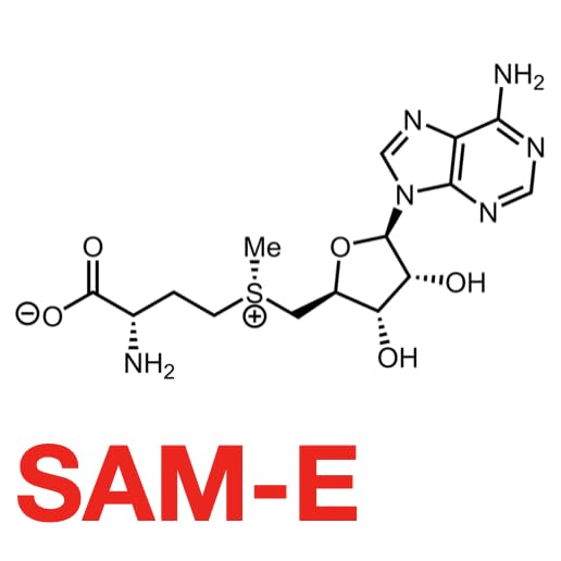 SANE: Functional Chocolate with Adaptogens & Mushrooms