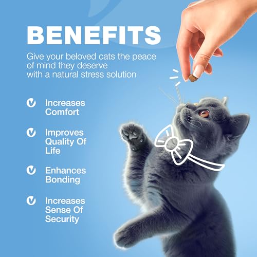 Hemp Cat Calming Treats - Melatonin Chews