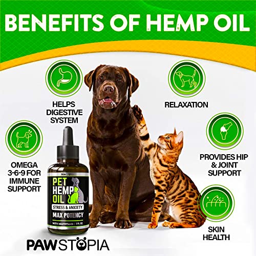 Hemp Oil for Pets - Anxiety and Pain Relief