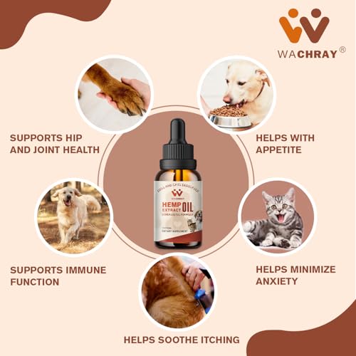 Calming Hemp Oil Drops for Dogs and Cats