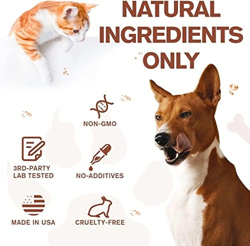 Calming Hemp Oil Drops for Dogs and Cats