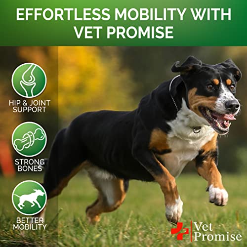 CBD Joint Support Chews for Dogs - Hemp Supplement