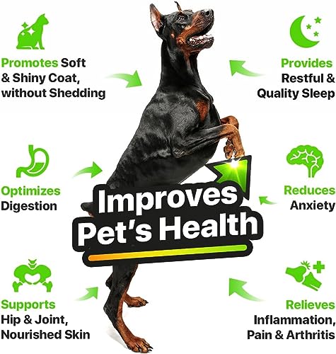 CBD Hemp and Salmon Oil for Pet Skin and Coat Health