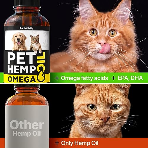 CBD Hemp and Salmon Oil for Pet Skin and Coat Health