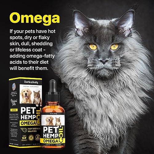CBD Hemp and Salmon Oil for Pet Skin and Coat Health