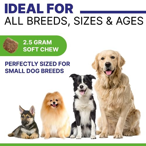 Hemp Chews: Relief for Dog's Hip and Joint Pain