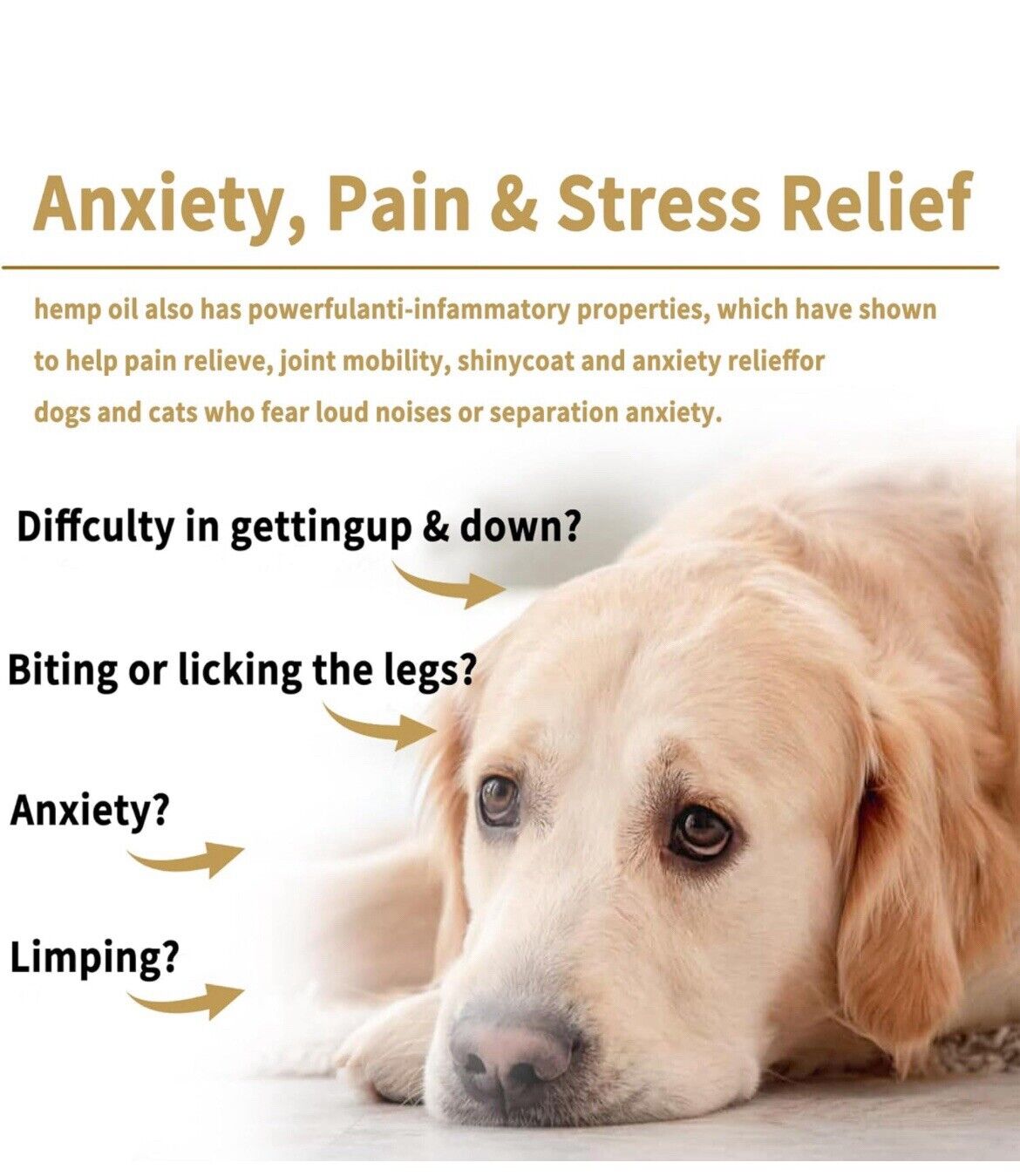 Organic Hemp Oil for Pet Anxiety & Pain Relief