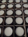 2000MG Organic Rocky Ridge Hemp Salve Balm