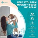MaxHemp Pet Hemp Oil for Dogs and Cats
