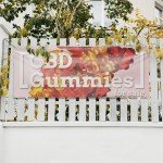 CBD Gummies Vinyl Banner with Metal Grommets