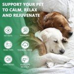 2 Pack Calming Hemp Oil for Dogs & Cats