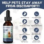 Hemp Oil for Pets - Calming Support Drops