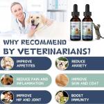 Hemp Oil for Pets - Calming Support Drops