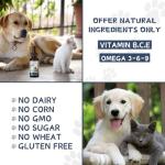 Hemp Oil for Pets - Calming Support Drops