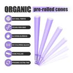 GOMMO King Size Pre-Rolled Cones - 50 Pack