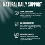 Extra Strength Organic Hemp Gummies - Premium Quality