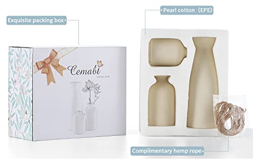 Beige Ceramic Vase Set for Minimalist Decor