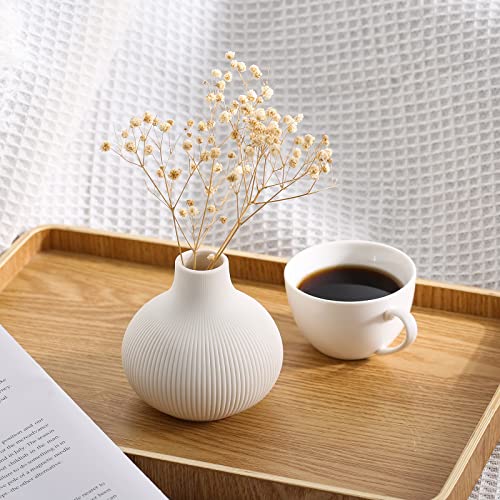 Set of 3 Minimalist White Ceramic Vases