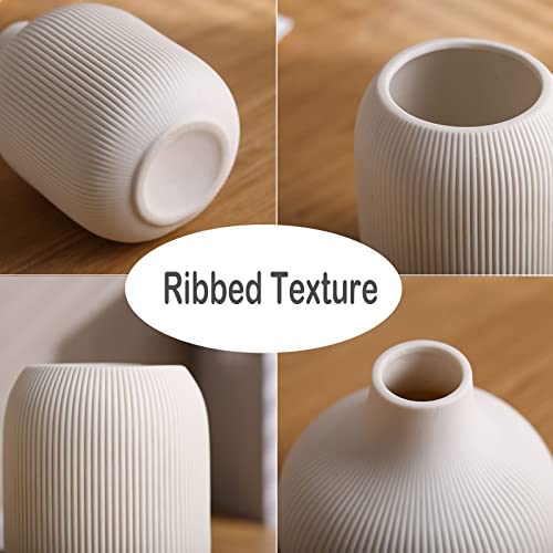 Set of 3 Minimalist White Ceramic Vases