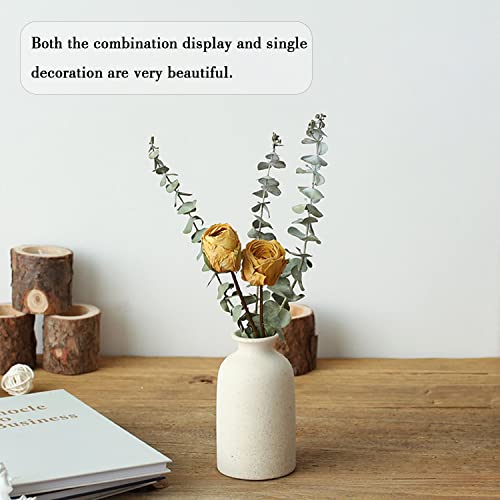Beige Ceramic Vase Set for Minimalist Decor
