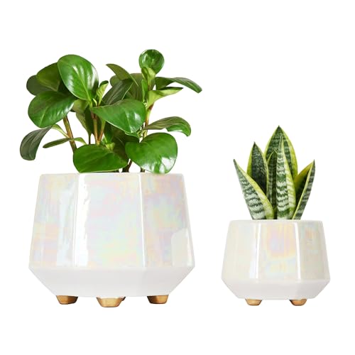 Minimalist Ceramic Plant Pots with Drainage Holes