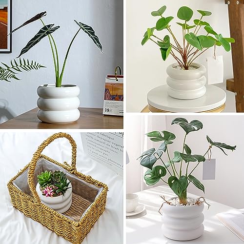 Minimalist White Ceramic Plant Pot for Indoor Use