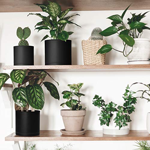 Set of 3 Minimalist Black Plant Pots